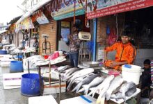 Nepal self-reliant in fish