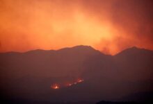 devastating Cyprus forest fire